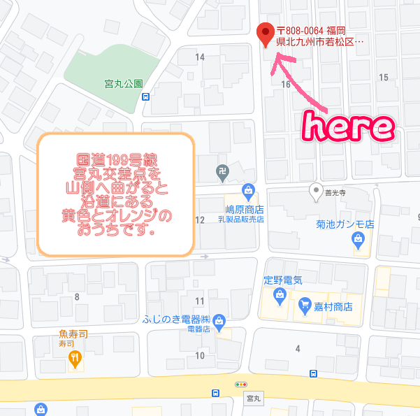 周辺地図